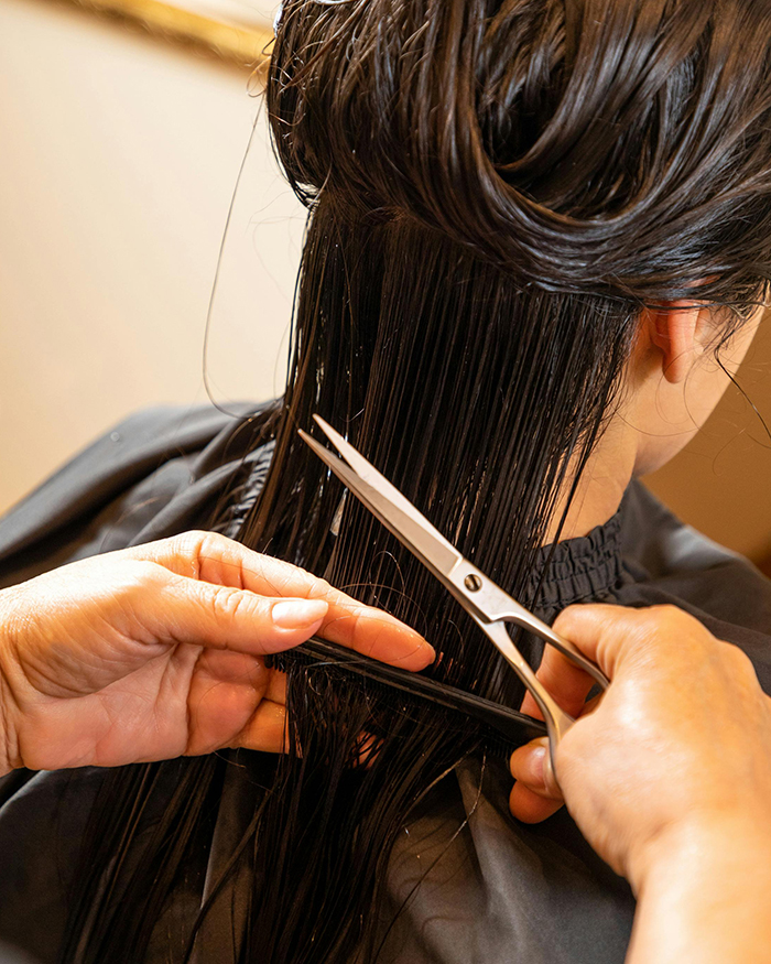 Bild vom Hinterkopf einer Frau mit nassen Haaren und einer Hand mit Schere beim Spitzenschneiden, Haarwachstum Mythos